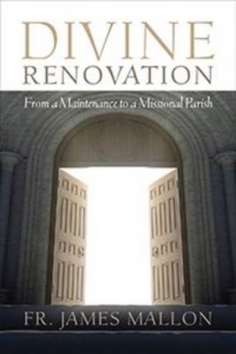 Picture of Divine Renovation