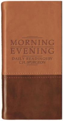 Picture of Morning And Evening - Matt Tan/burgundy