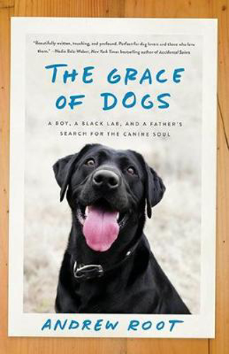 Picture of The Grace Of Dogs: A Boy, a Black Labrador and a father's search for the canine soul