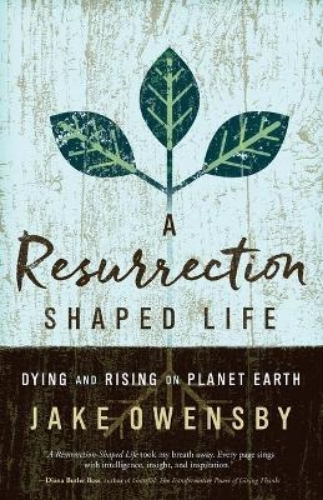 Picture of Resurrection Shaped Life