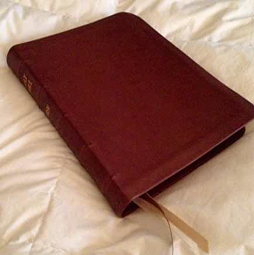 Picture of NRSV Wesley Study Bible