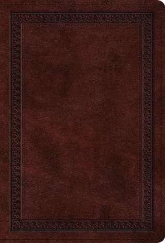 Picture of Esv Large Print Compact